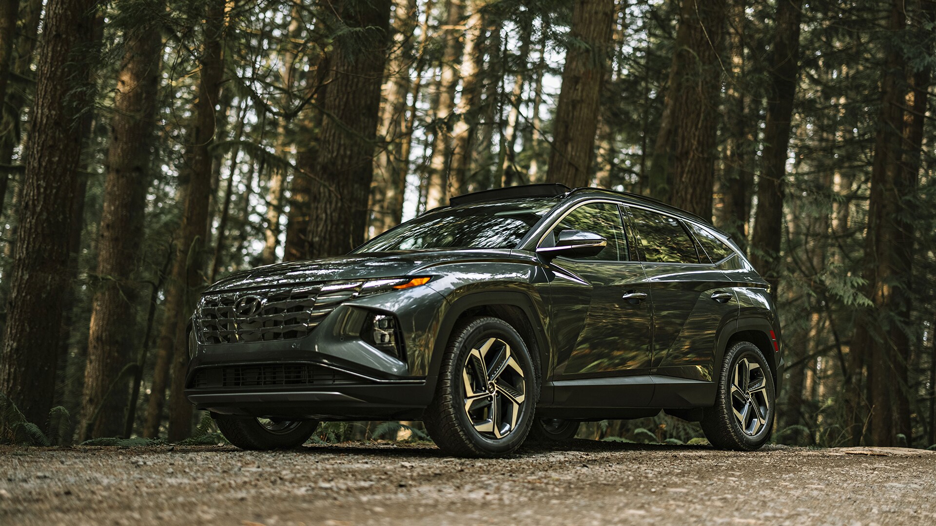 Hyundai TUCSON 2024 Galerie de photo Hyundai Canada